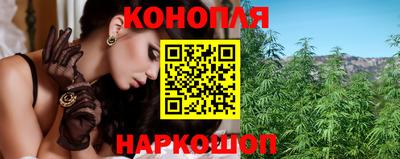 крисы Краснознаменск