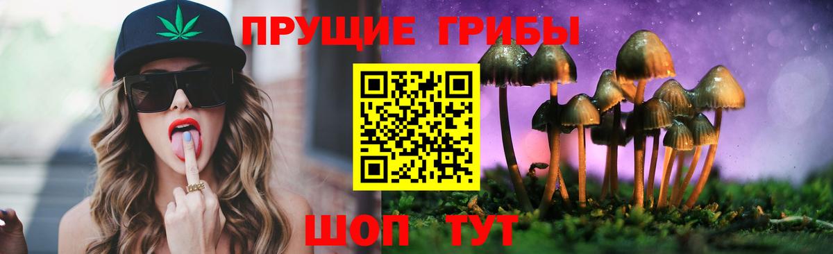 Галлюциногенные грибы Cubensis  Вход с VPN  Кизляр  Псилоцибиновые грибы Magic Shrooms 